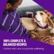 Wellness Complete Health Sensitive Skin and Stomach Dry Dog Food, Wholesome Grain Kibble, Natural, Chicken Free, Salmon and Rice Recipe, 38 lb Bag