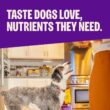 Wellness Complete Health Sensitive Skin and Stomach Dry Dog Food, Wholesome Grain Kibble, Natural, Chicken Free, Salmon and Rice Recipe, 38 lb Bag