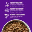 Wellness Complete Health Sensitive Skin and Stomach Dry Dog Food, Wholesome Grain Kibble, Natural, Chicken Free, Salmon and Rice Recipe, 38 lb Bag
