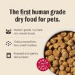 The Honest Kitchen Human Grade Whole Food Clusters Dry Dog Food - Grain Free Chicken 20 lb Bag