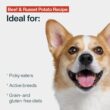 JustFoodForDogs Frozen Fresh Dog Food, Complete Meal or Dog Food Topper, Beef & Russet Potato Human Grade Dog Food Recipe, 72 oz (Pack of 7)