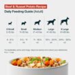 JustFoodForDogs Frozen Fresh Dog Food, Complete Meal or Dog Food Topper, Beef & Russet Potato Human Grade Dog Food Recipe, 72 oz (Pack of 7)