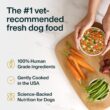 JustFoodForDogs Frozen Fresh Dog Food, Complete Meal or Dog Food Topper, Beef & Russet Potato Human Grade Dog Food Recipe, 72 oz (Pack of 7)