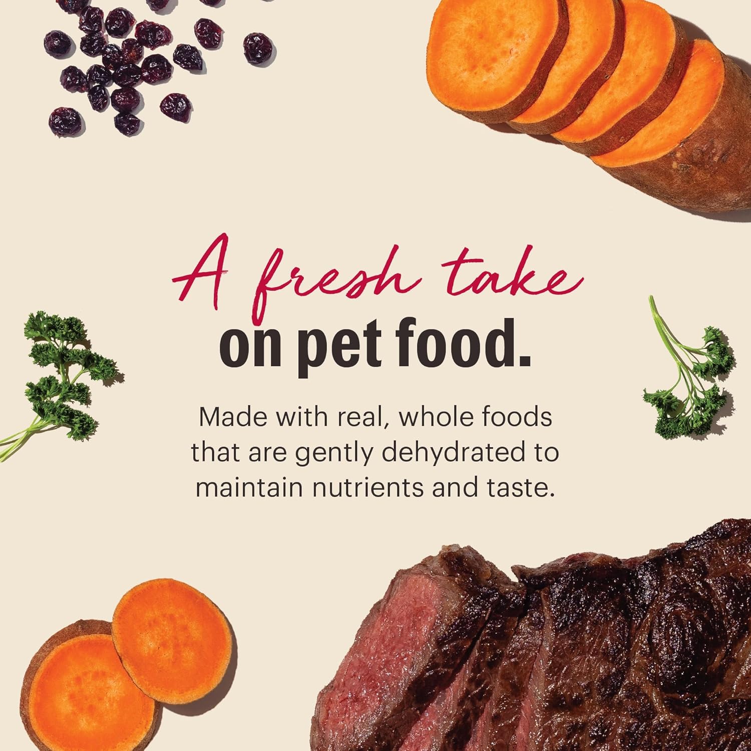 The Honest Kitchen Human Grade Wholemade Dehydrated Dog Food, Grain Free Beef 10 lb (makes 40lbs) The Honest Kitchen Human Grade Wholemade Dehydrated Dog Food, Grain Free Beef 10 lb (makes 40lbs)