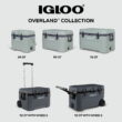 Igloo 25 QT Overland Ice Chest Cooler, White