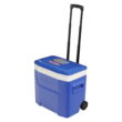 University of Florida Gators 28 QT Laguna Soft Top Wheeled Cooler by Igloo, Blue