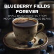Maud's Blueberry Coffee Pods, Blueberry Fields Forever, Compatible w/ K-Cup Brewers, 50ct Maud's Blueberry Coffee Pods, Blueberry Fields Forever, Compatible w/ K-Cup Brewers, 50ct