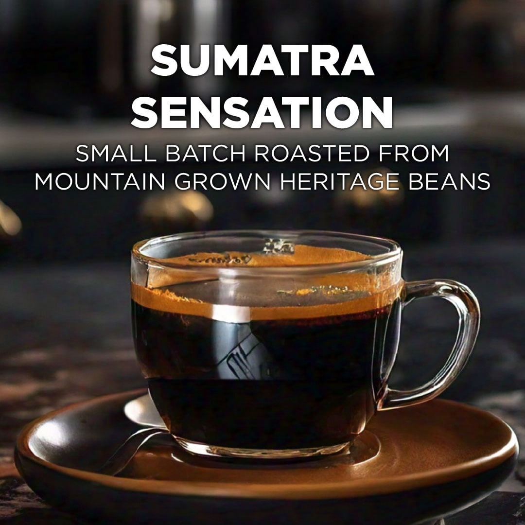 Maud's Sumatra Coffee Pods, 100 ct, Dark Roast Coffee in Single Serve Pods – 100% Arabica Coffee, Compatible with Keurig K Cups Maker Maud's Sumatra Coffee Pods, 100 ct, Dark Roast Coffee in Single Serve Pods – 100% Arabica Coffee, Compatible with Keurig K Cups Maker