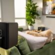 Klipsch Flexus SURR 100 Surround Sound Speakers with Immersive Dolby Atmos Technology - Black