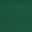 Taylor & Logan Charlestown Green Resin Frame Stationary Adirondack Chair with Solid Seat
