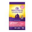 Wellness Complete Health Sensitive Skin and Stomach Dry Dog Food, Wholesome Grain Kibble, Natural, Chicken Free, Salmon and Rice Recipe, 38 lb Bag